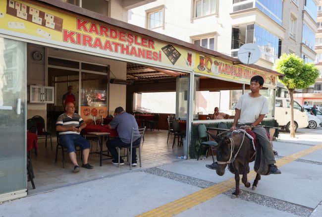 Japon turist eşekle Türkiye turu yaptı