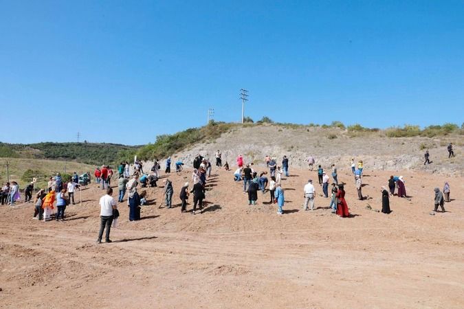 Körfez'in çınarları gelecek için fidan dikti