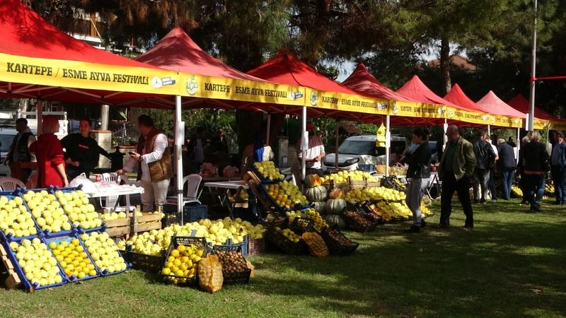 Kartepe’de Türkiye’nin en güzel ayvaları yarıştı