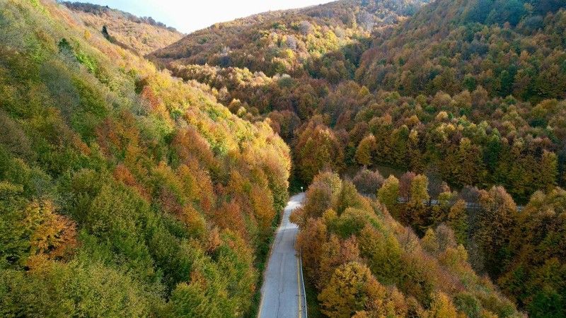 Kocaeli'de eşsiz sonbahar güzelliği