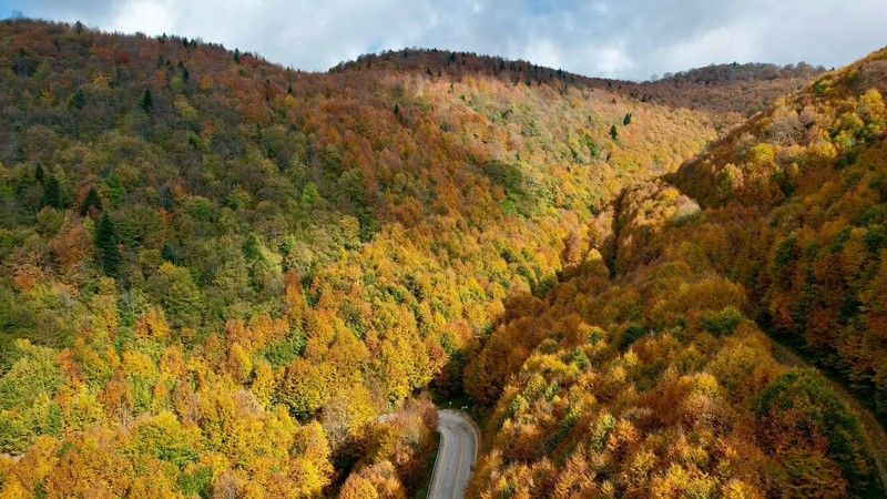 Kocaeli'de eşsiz sonbahar güzelliği