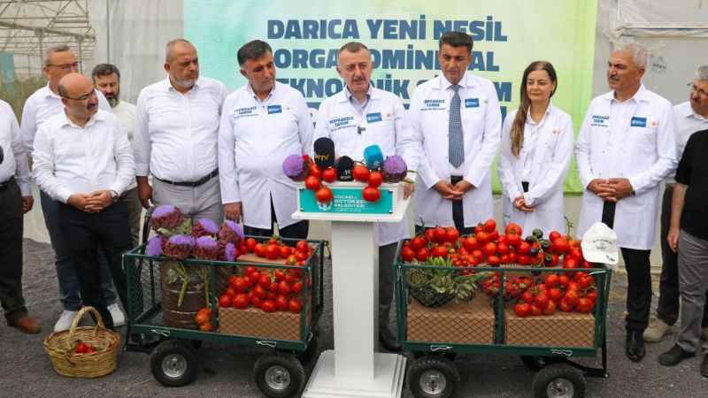 Tarımda ilk olan sistemde hasat heyecanı