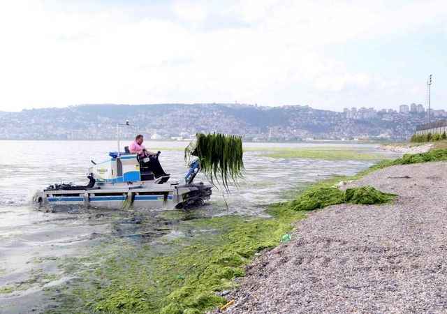 Dere, deniz ve kıyılardan 49 kamyon katı atık