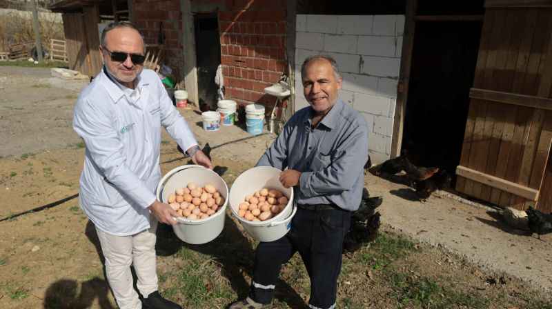 Büyükşehir'den % 50 hibeli yumurta tavuğu desteği