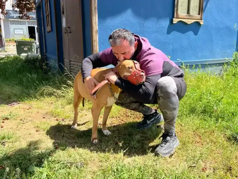 Bekçi ile boksör arasında 'ağızlıksız pitbull' kavgası