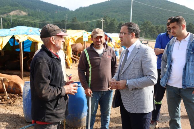 Başkan Gökçe, Kurban Pazarı’nı Gezdi