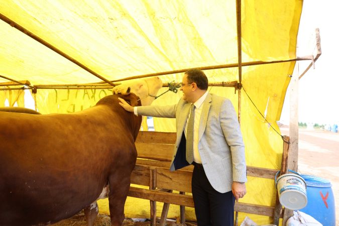 Başkan Gökçe, Kurban Pazarı’nı Gezdi