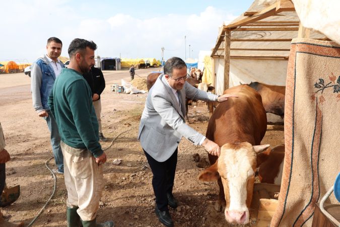 Başkan Gökçe, Kurban Pazarı’nı Gezdi