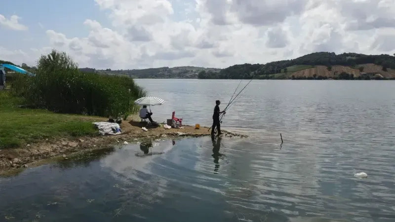 Derince’de istilacı balıklar bertaraf edildi