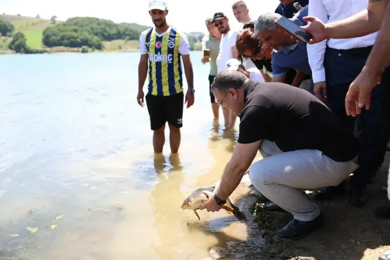 Derince’de istilacı balıklar bertaraf edildi