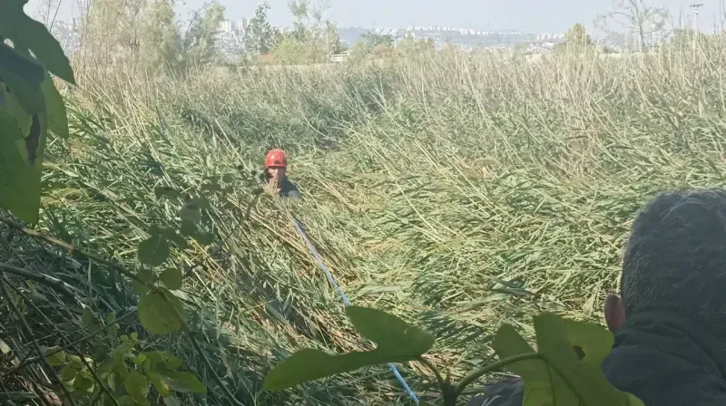 Kısaltmak için girdikleri yol kabusları oluyordu